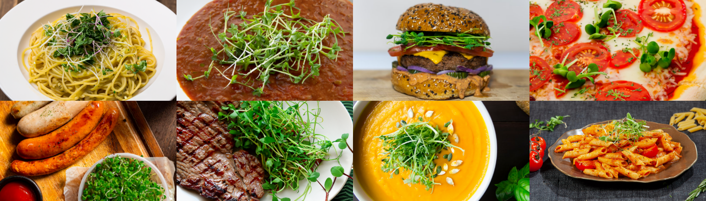 o-microgreens-01 – 6